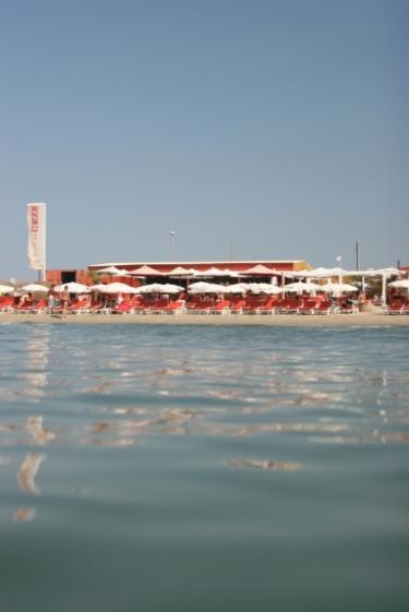 le-palm-ray-plage.jpg