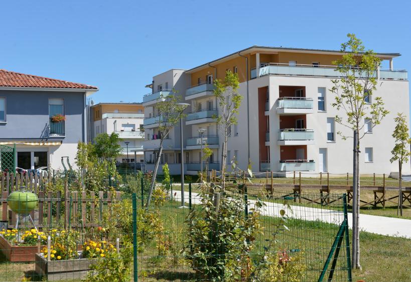 collectif_nexity_quint.jpg