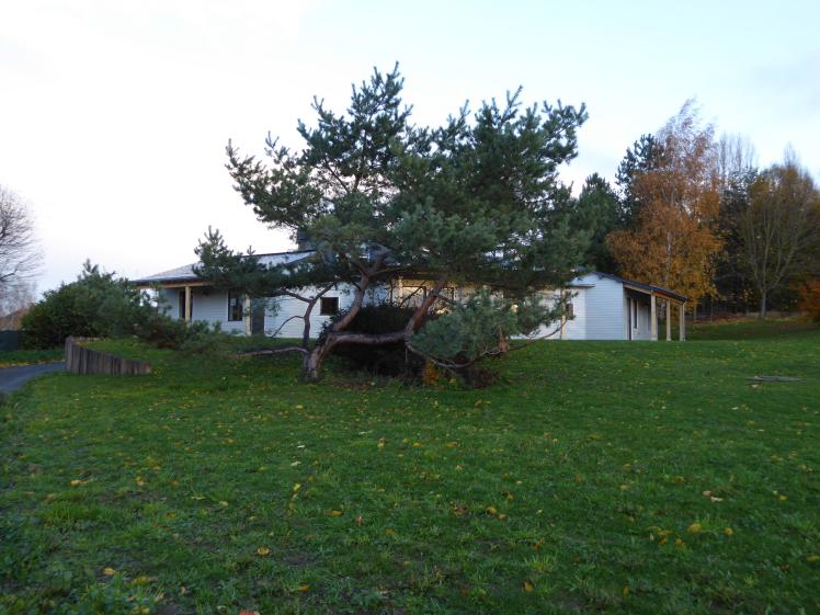 p1060643.jpg
