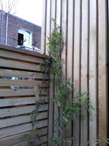 aaz_architectes_meb_05bis_detail_cloture.jpg