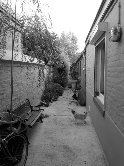 aaz_architectes_lil_07_avant04.jpg