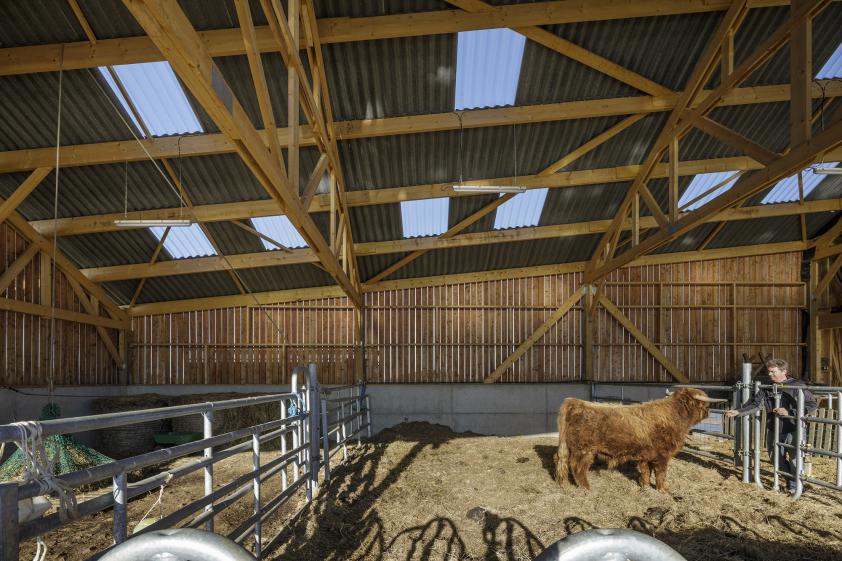 Ferme biologique à PLOUGRESCANT, partie élevage, photographie Frédéric BARON