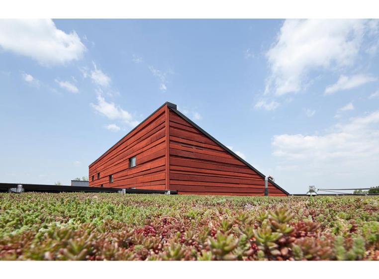 06_terreneuve-architectes-architecture-bois-centre-loisirs-magnanville.jpg
