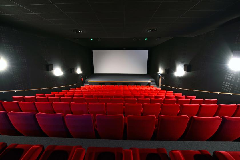cinema_lhermine.017.jpg
