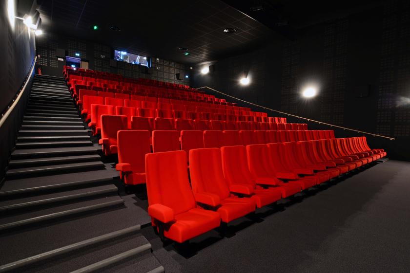 cinema_lhermine.022.jpg