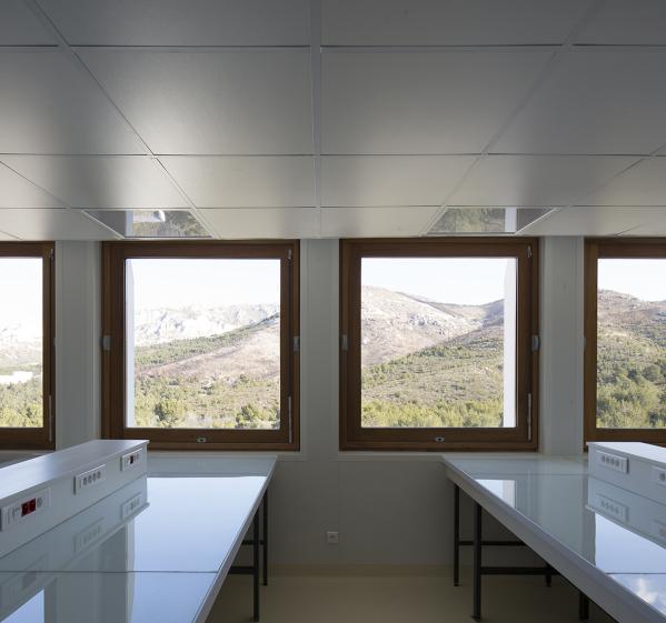 MI-MAbs - laboratoire