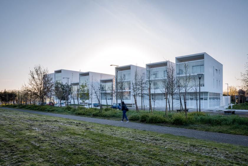 logements-cornebarrieu-02.jpg