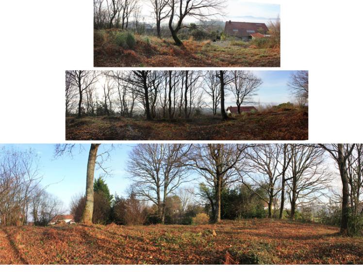 Terrain avant construction