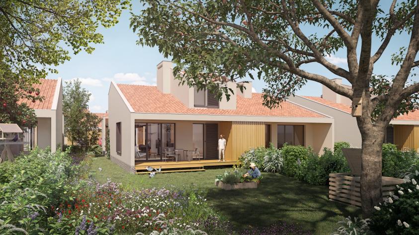 Le jardin nourricier