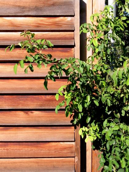 lamelles de ventilation en bois