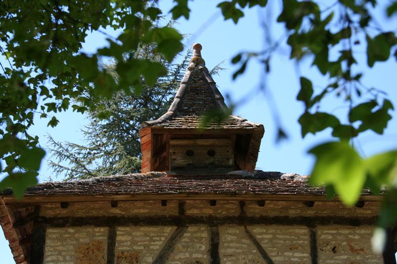 nature-environnement-amenagement-gite-architecte-lot-lalbenque.jpg