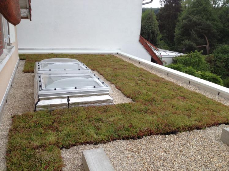Extension de maison individuelle - Toiture terrasse végétalisée