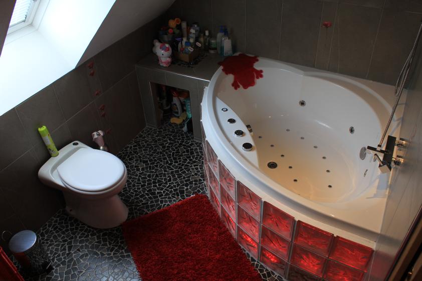 Salle de bain (avant travaux)