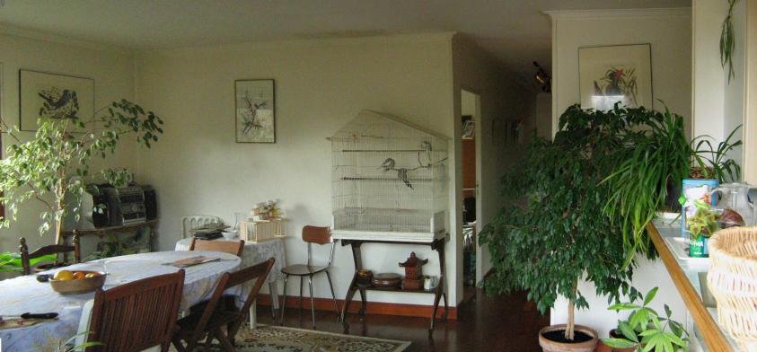 salon avant travaux