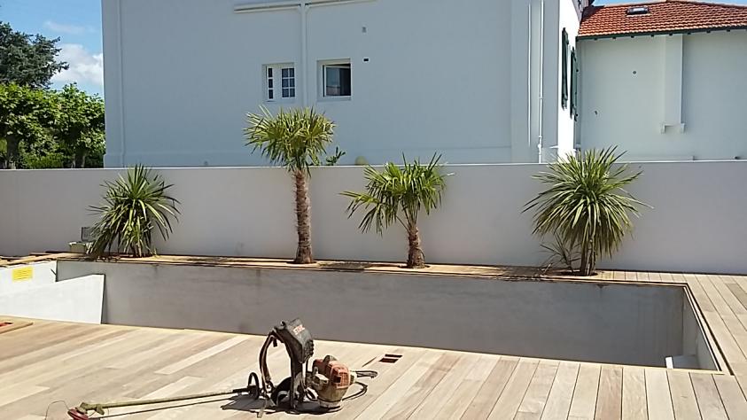 20180607_161657.jpg
