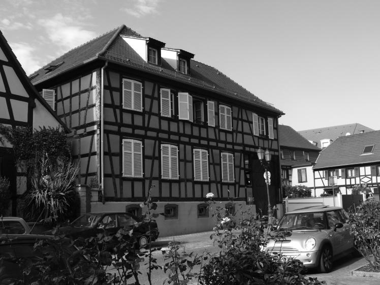219_cus_habitat_-_p1090823-nb.jpg