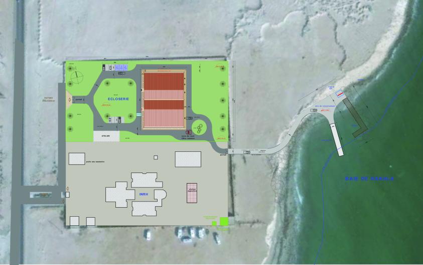a1_pl01_plan_de_masse_500_copie.jpg