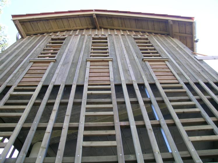 dscn2876.jpg