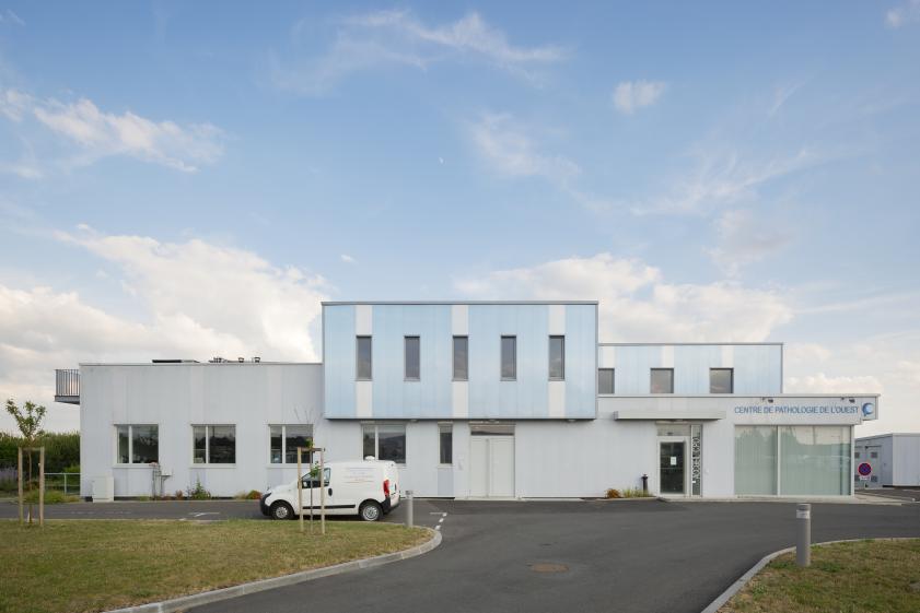av18065-05.jpg