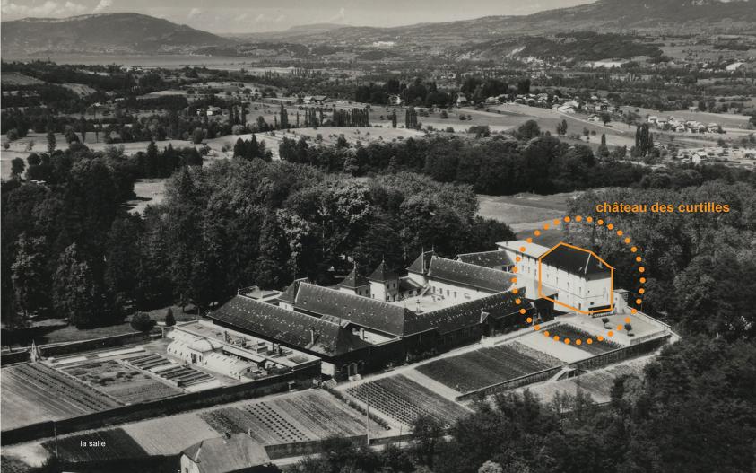motte02.jpg