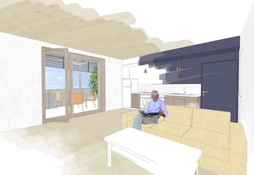 20 Logements collectifs // Logement