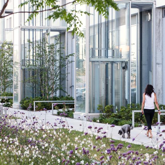 NéO, rénovation de 360 logements et rez-de-chaussée, architectes SLS+WHY, Photog