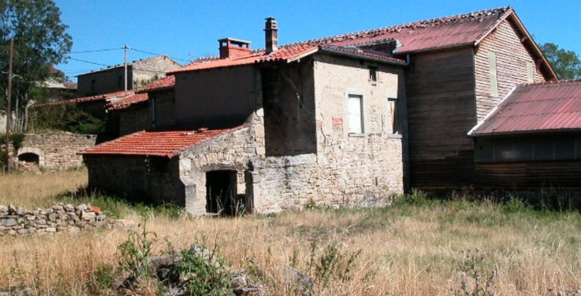marjon1001.jpg