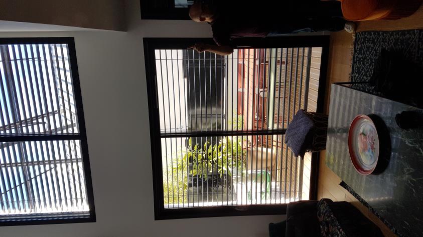 20200903_182940.jpg