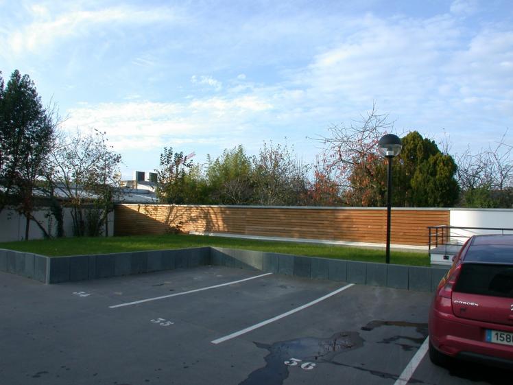 dscn0981.jpg