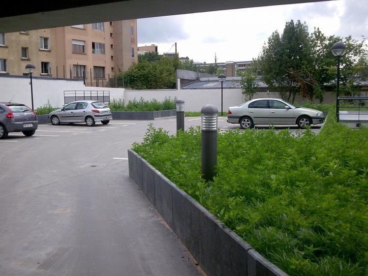 photo009.jpg