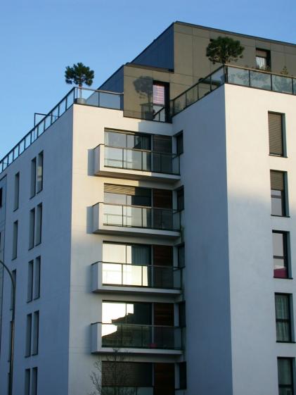 dscn9559.jpg