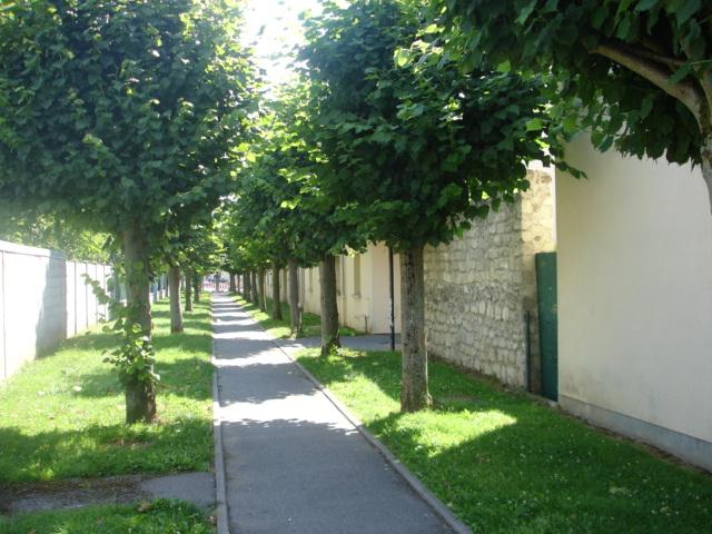 photo_020.jpg