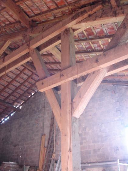 dsc09516a.jpg