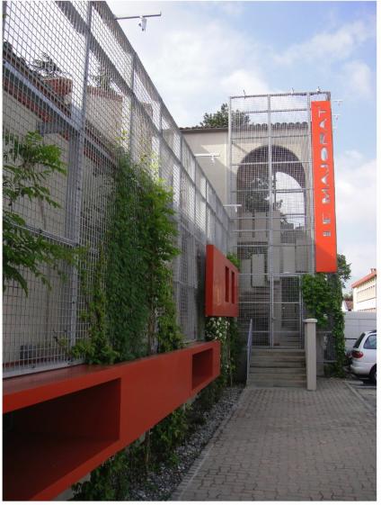 majorat_2.jpg