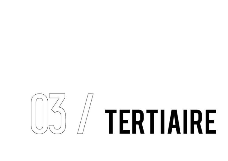intercalaire_tertiaire_a4.jpg