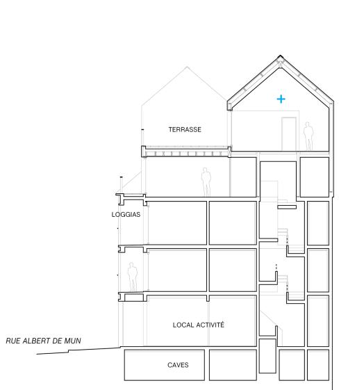 stn_site2017_06_plans.jpg