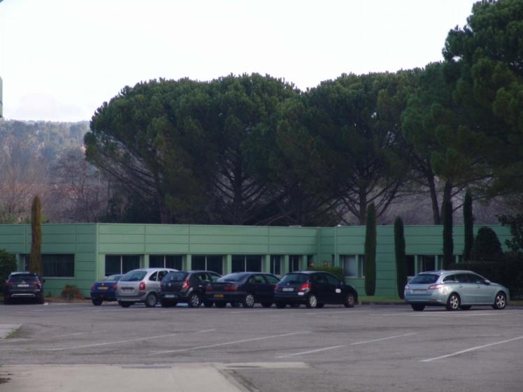 137.jpg