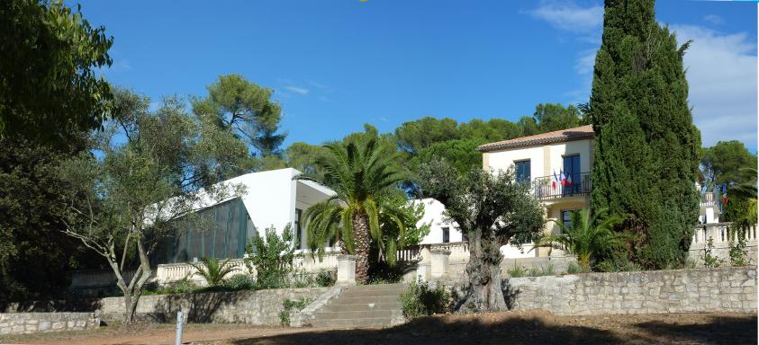 castelnau_15.jpg