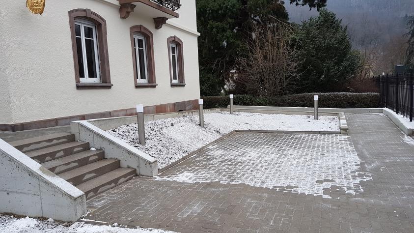 20190131_095712.jpg