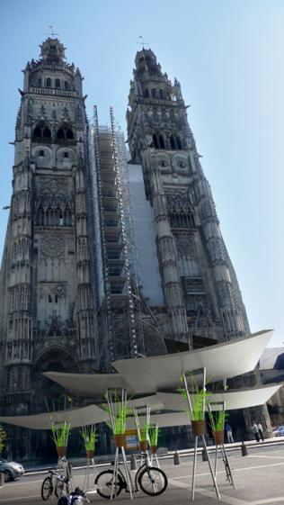 4_cathedrale_arbres_copie.jpg