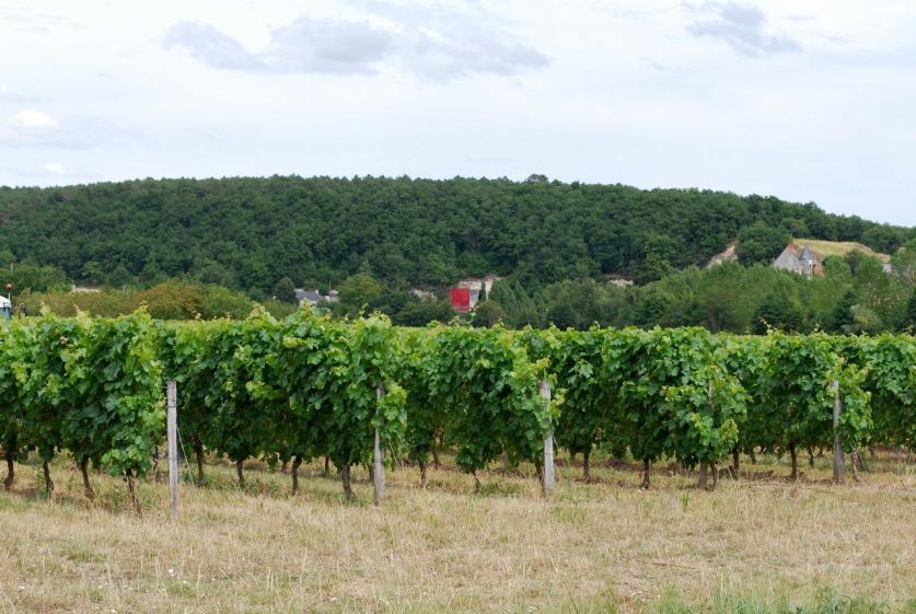 vue_depuis_la_route_de_chinon.jpg