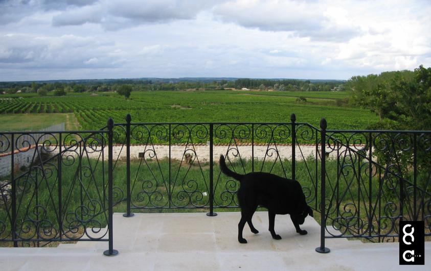 vue vers la vallée de la charente