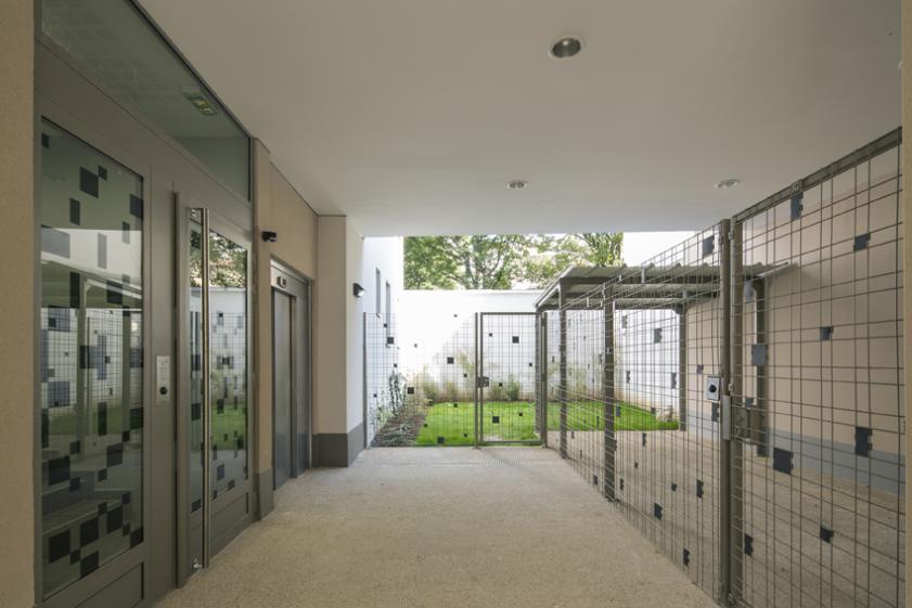 logt_lac_photo_porche_et_jardin.jpg