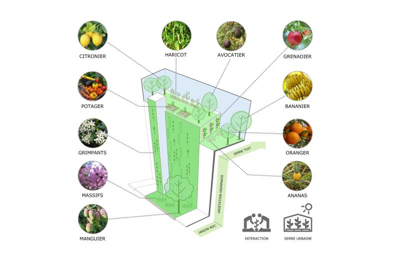 Schéma du jardin vertical & de la serre sur le toit