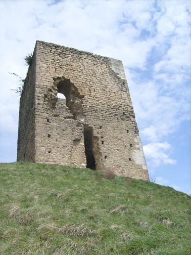 s7303646.jpg