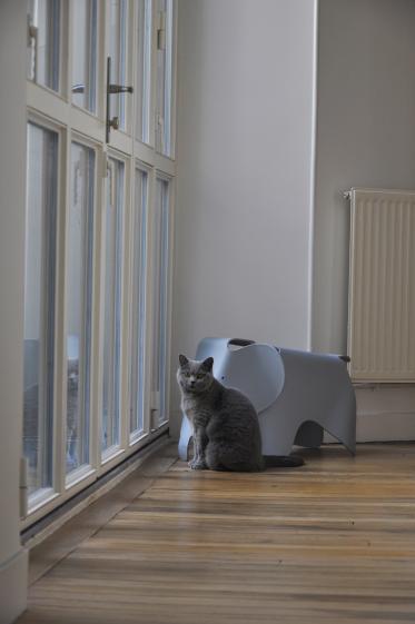 _dsc0605_rt.jpg
