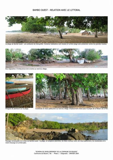 bambo-littoral_copie_s.jpg