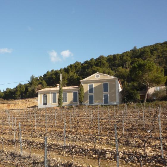 _12_ok_lanvin_photo_ouest_dec11.jpg