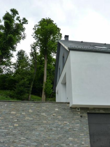 p1020363.jpg