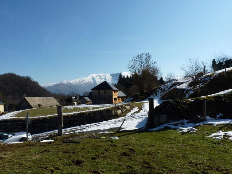 p1020838_1.jpg